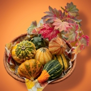brigitte-elsner-tibS74o0Hxk-unsplash Free Thanksgiving
