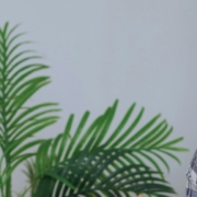 vitaly-gariev-Z7x23fTLlew-unsplash Free ConflictCouple